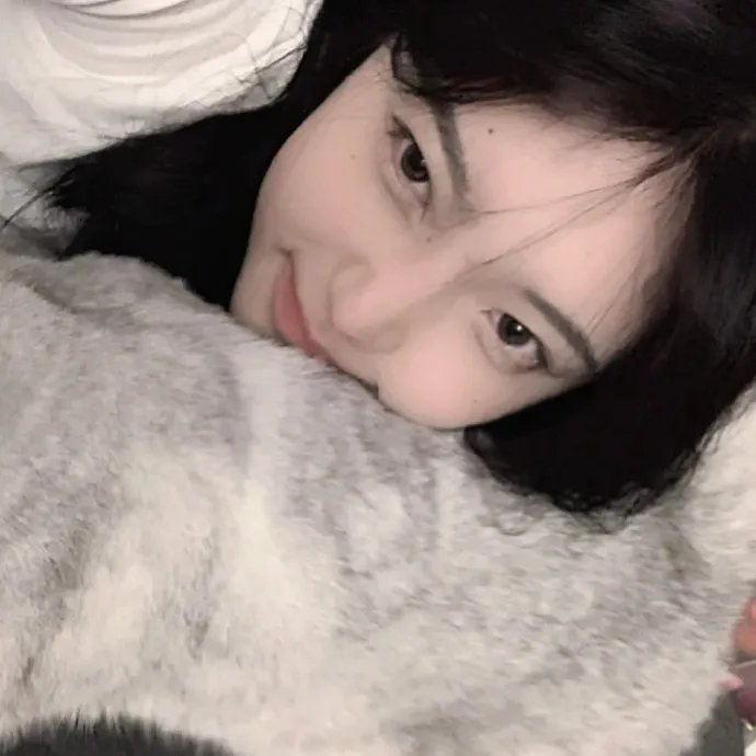 母猫